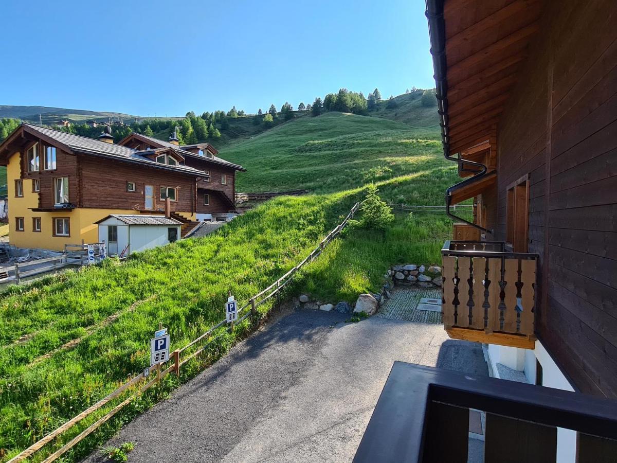 Il Nocciolo Appartement *