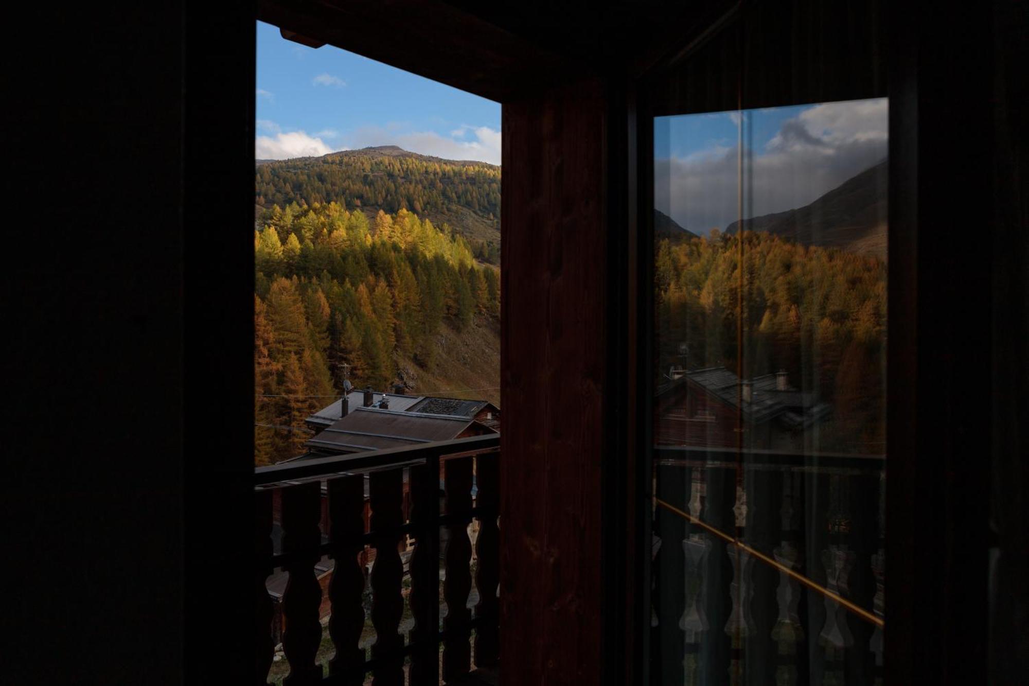 Il Nocciolo Appartement