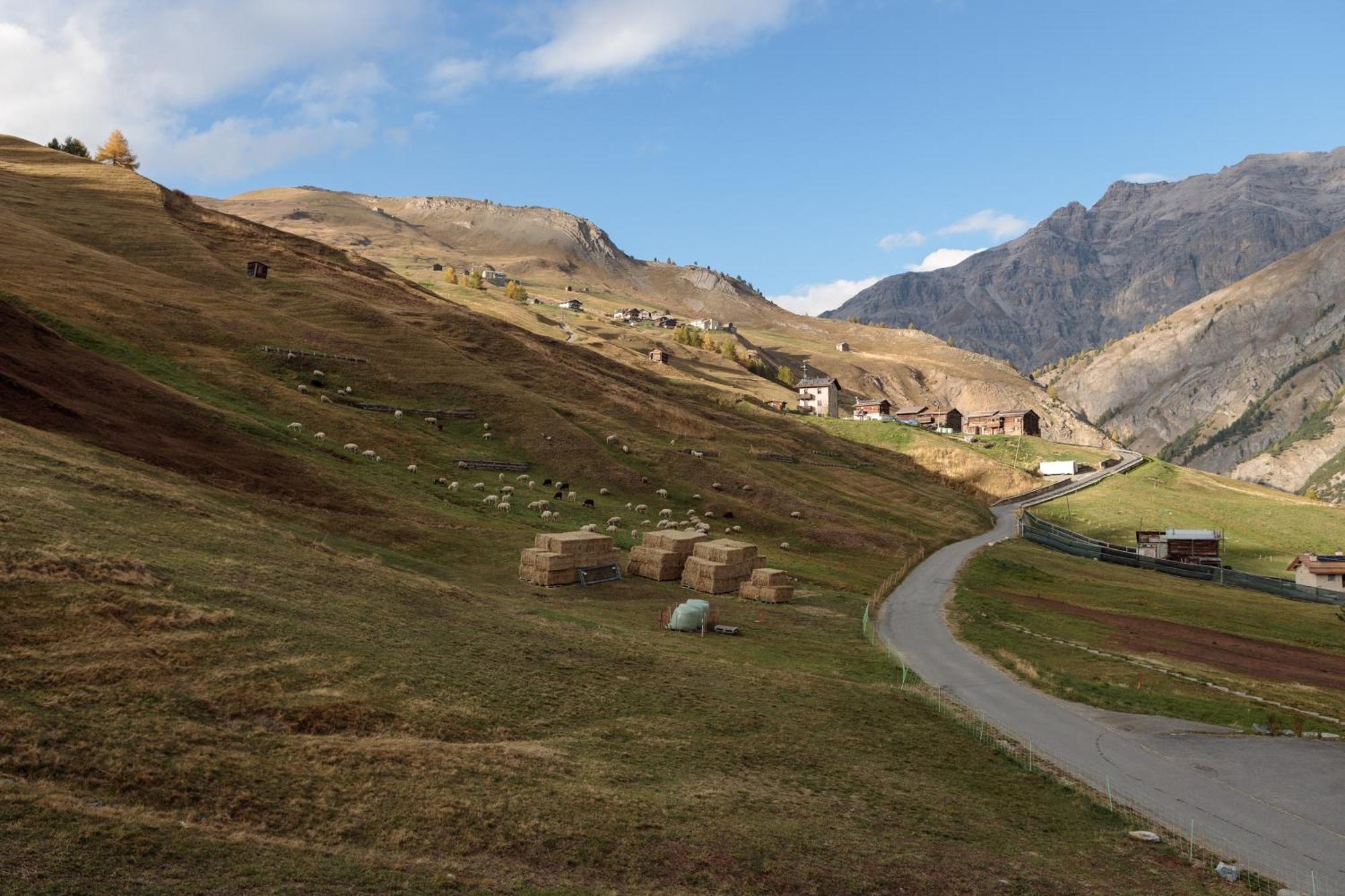 Appartement Il Nocciolo Livigno